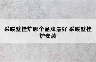 采暖壁挂炉哪个品牌最好 采暖壁挂炉安装